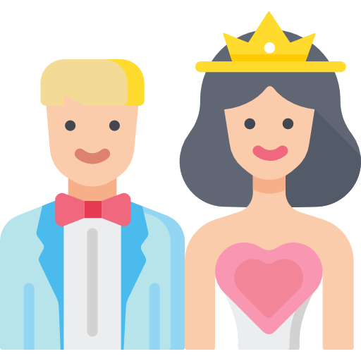 Bride and groom Special Flat icon