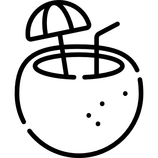 kokosnuss Special Lineal icon