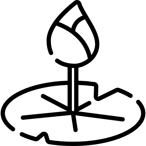 ロータス Special Lineal icon
