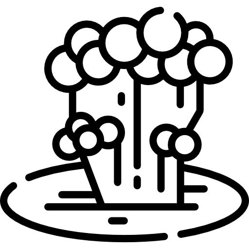 ラン島 Special Lineal icon