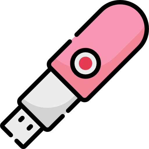 Pendrive Special Lineal color icon