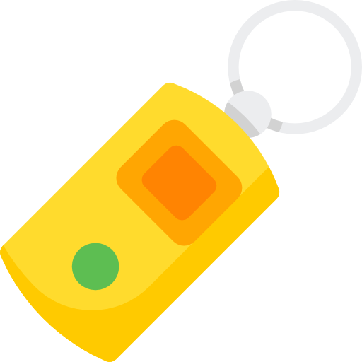 Key chain Special Flat icon