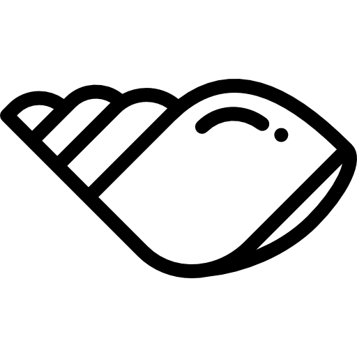 muszla muszli Detailed Rounded Lineal ikona
