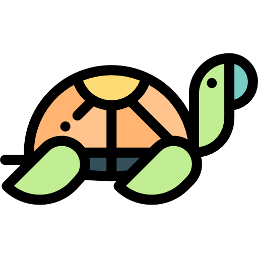 Tortoise Detailed Rounded Lineal color icon