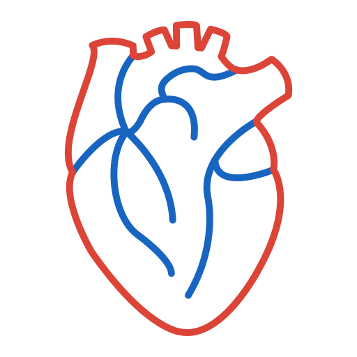cuore Generic color outline icona