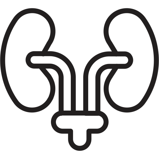 urologia Generic outline ikona