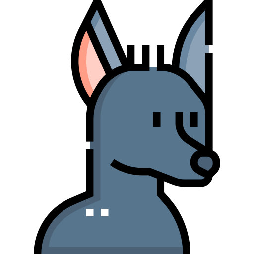 xoloitzcuintle Detailed Straight Lineal color ikona