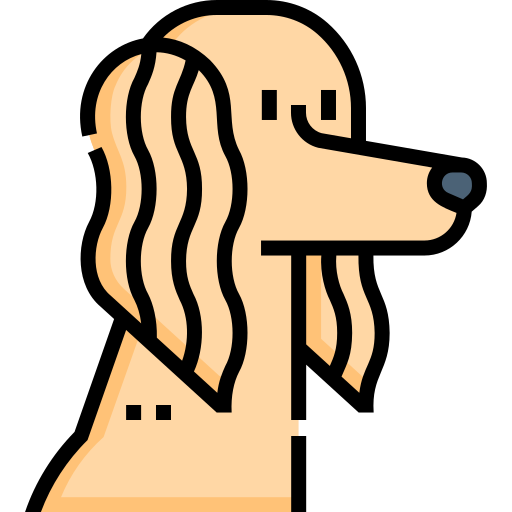 saluki Detailed Straight Lineal color icono