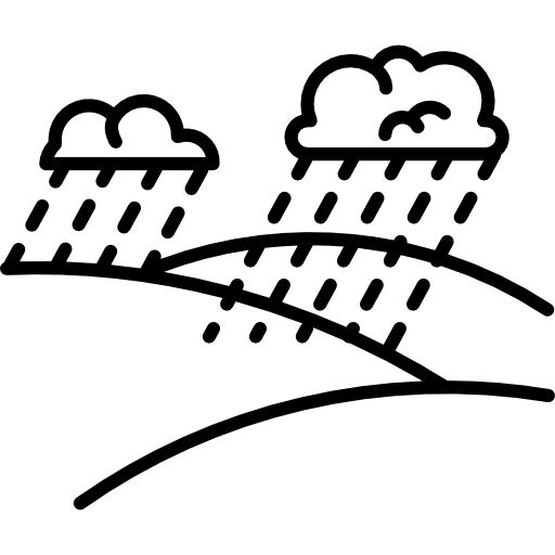Дождь Special Lineal иконка