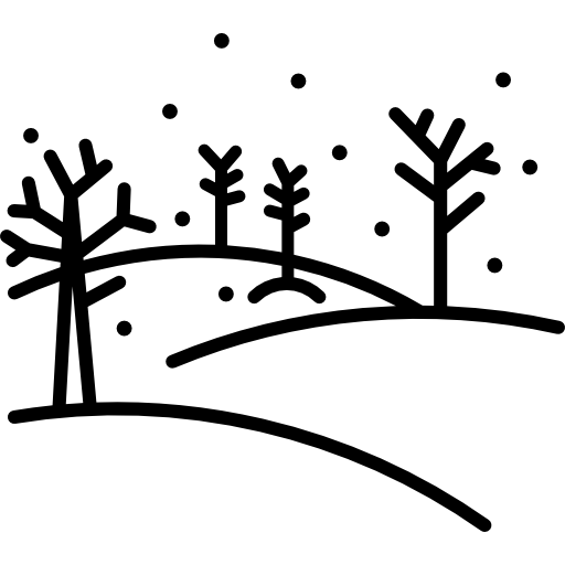 invierno Special Lineal icono