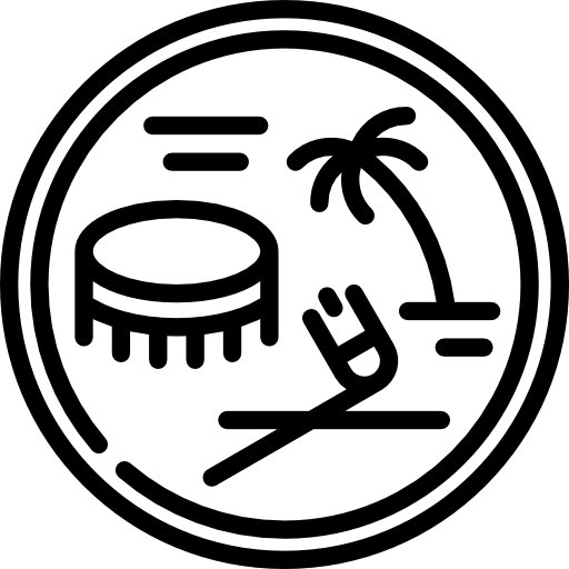 American Samoan Dollar Special Lineal icon