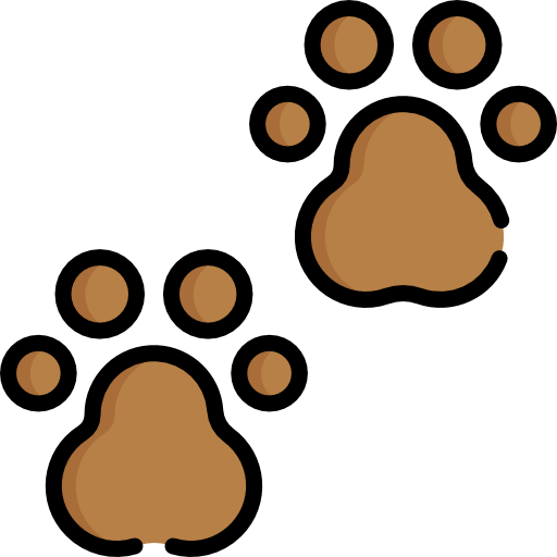 pawprint Special Lineal color icon