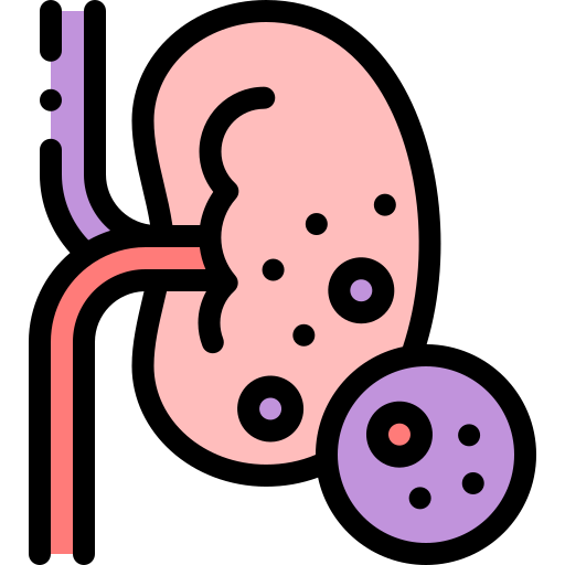 Kidney Detailed Rounded Lineal color icon