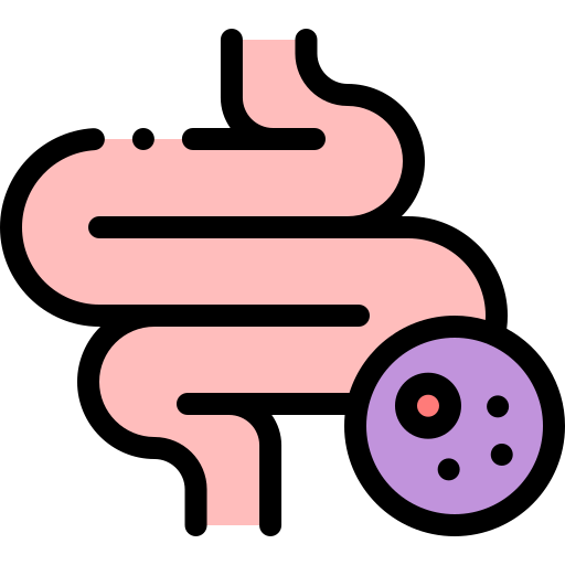 intestino Detailed Rounded Lineal color icono