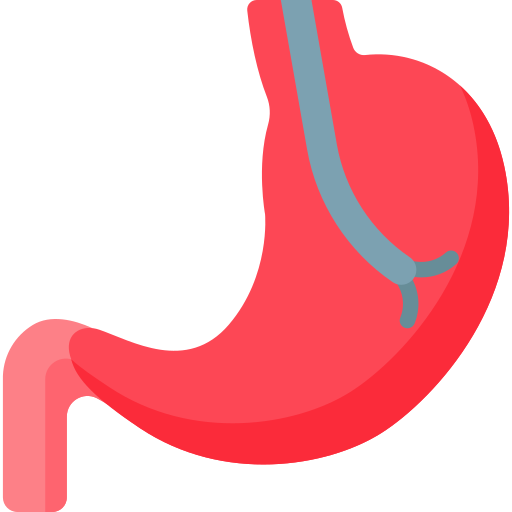 Stomach Special Flat icon