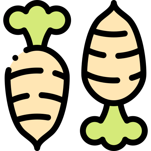 Radish Detailed Rounded Lineal color icon