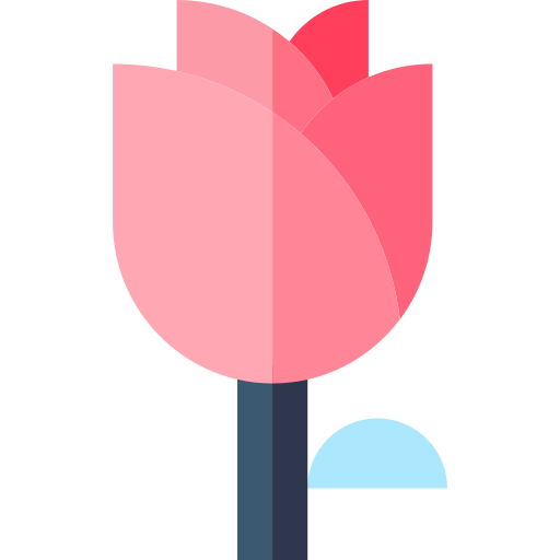 rosa Basic Straight Flat icona