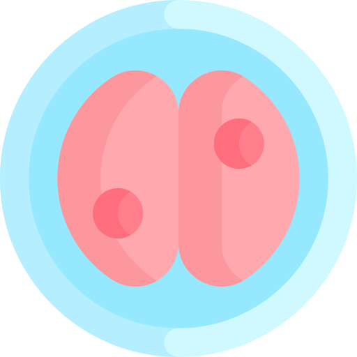 접합자 Kawaii Flat icon