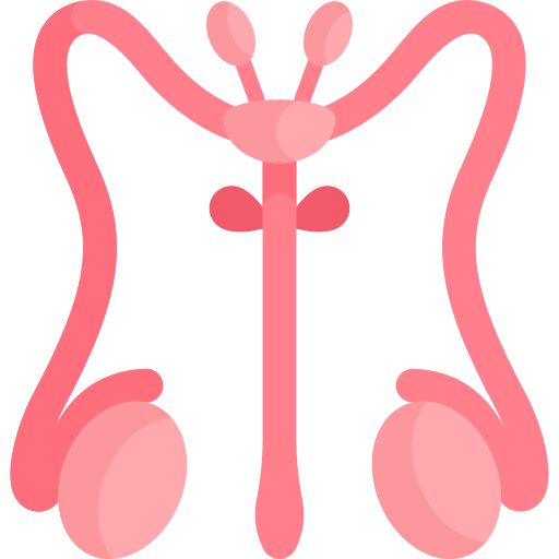 Репродуктивная система Kawaii Flat иконка