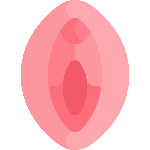 膣 Kawaii Flat icon