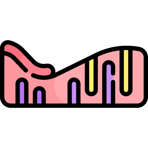 endometrium Kawaii Lineal color ikona