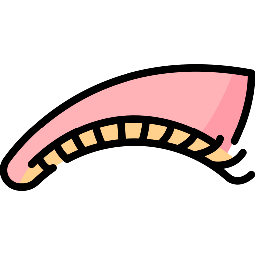 Eyelashes Special Lineal color icon