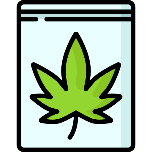 canabis Special Lineal color icono
