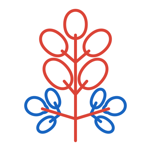 Moringa Generic color outline icon