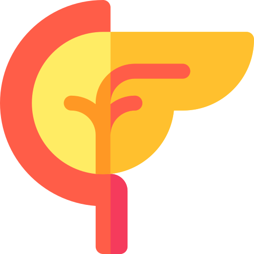 膵臓 Basic Rounded Flat icon