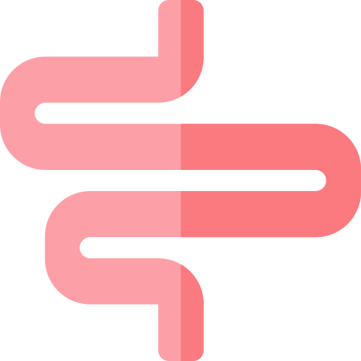 intestino delgado Basic Rounded Flat icono