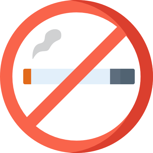 proibido fumar Special Flat Ícone