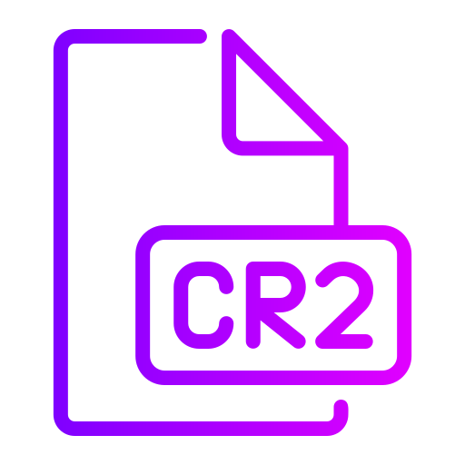 cr2 Generic gradient outline icon