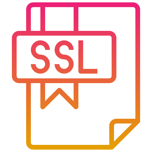 ssl Generic gradient outline icoon