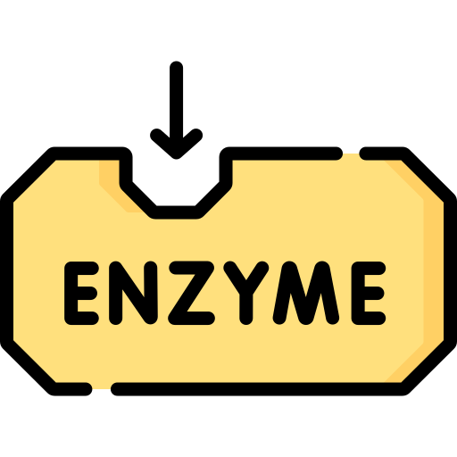 enzym Special Lineal color icon