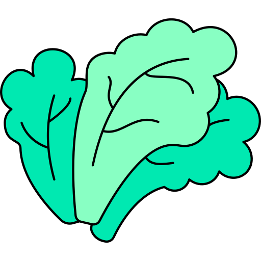 lattuga Generic color outline icona