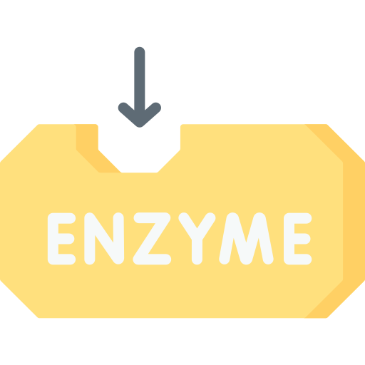 enzym Special Flat icon