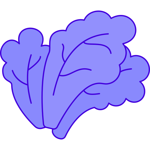 Lettuce Generic color outline icon