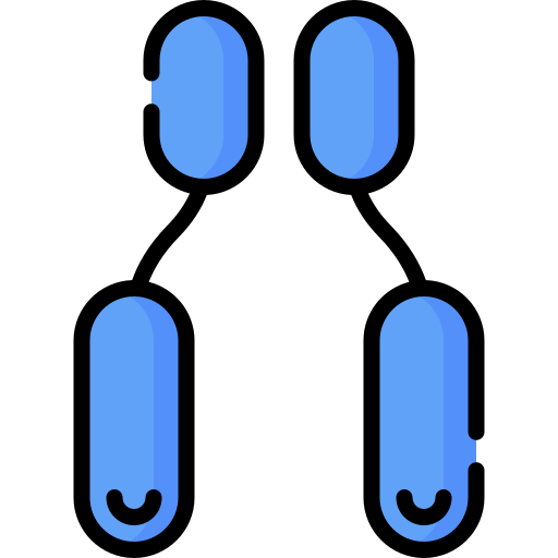 Enzima Special Lineal color icono