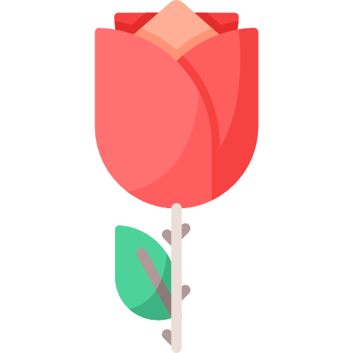 rosa Special Flat Ícone