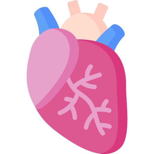 心臓 Special Flat icon