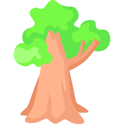 Sequoia Generic color fill icon