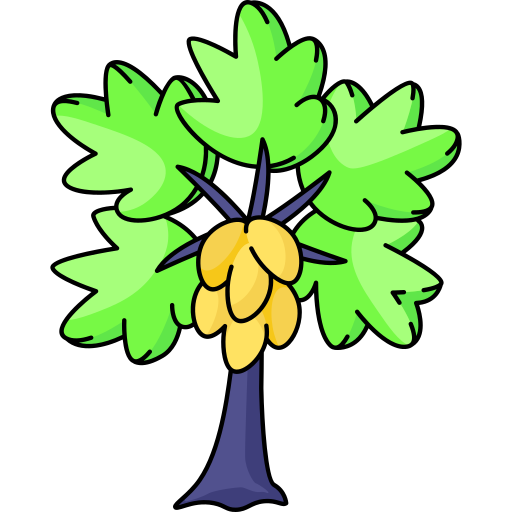 papaja Generic color outline ikona