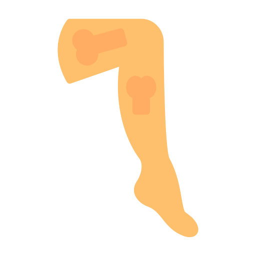 pierna Generic color fill icono