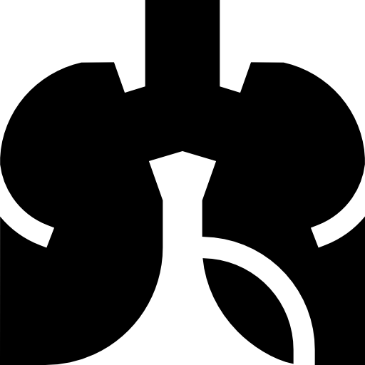 polmoni Basic Straight Filled icona
