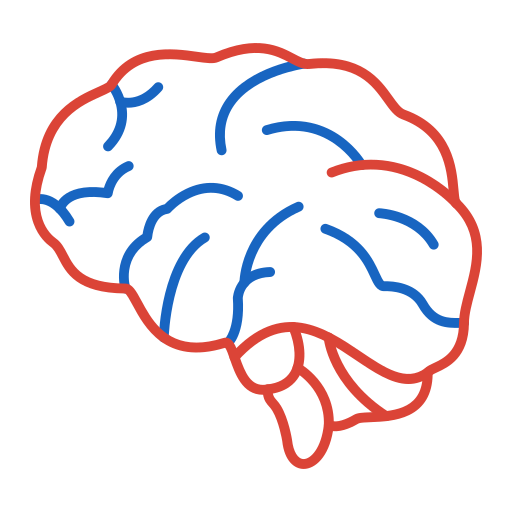cerveau Generic color outline Icône