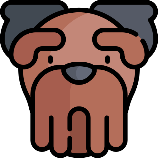 yorkshire-terrier Kawaii Lineal color icon