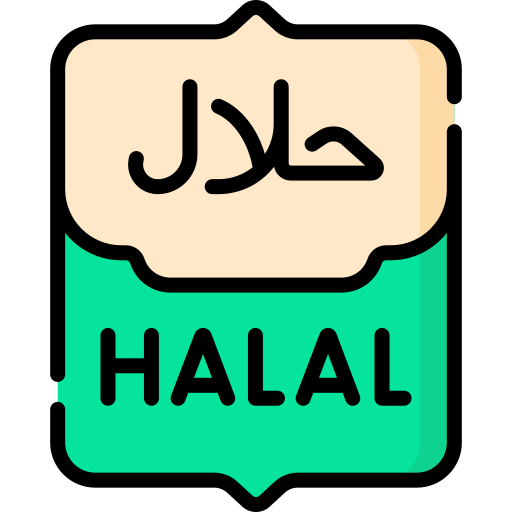 halal Special Lineal color Ícone