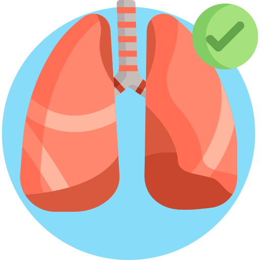 Lung Detailed Flat Circular Flat icon