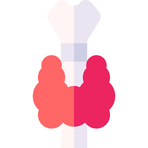 tiroides Basic Straight Flat icono
