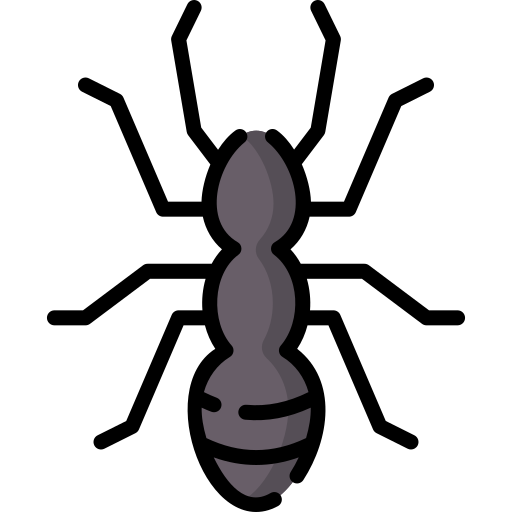 hormiga Special Lineal color icono